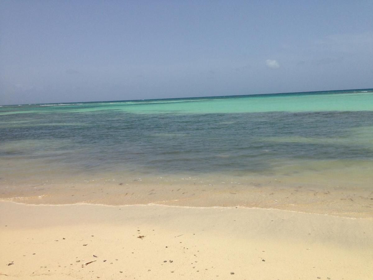 Bungalow La Papaye Bleue Residence Acces Piscine & Plage サン・フランソワ エクステリア 写真